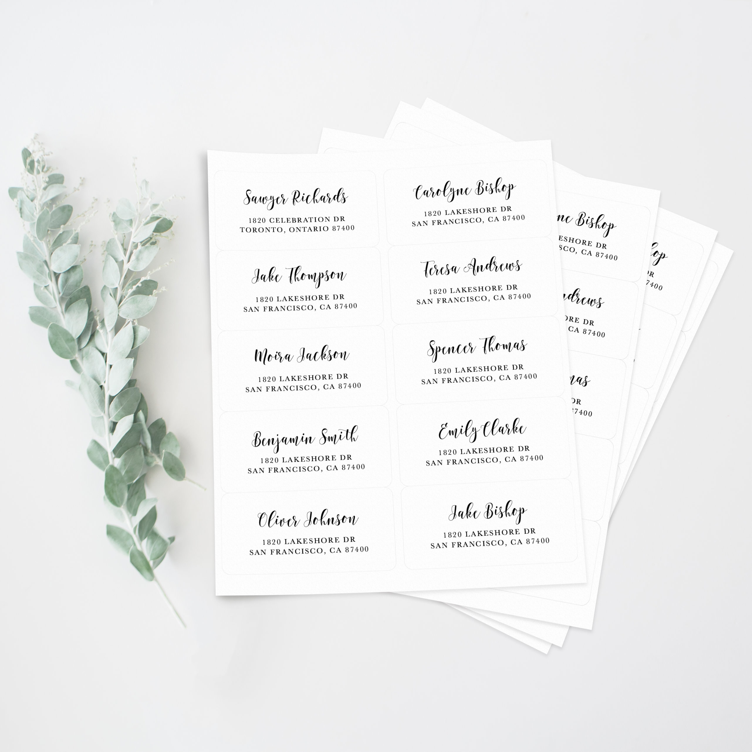Printable Avery Address Label Template DIY Avery 4x2 Address - Etsy