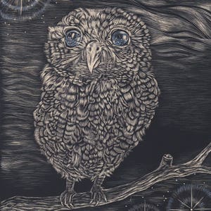 starry eyed owl scratch board art print