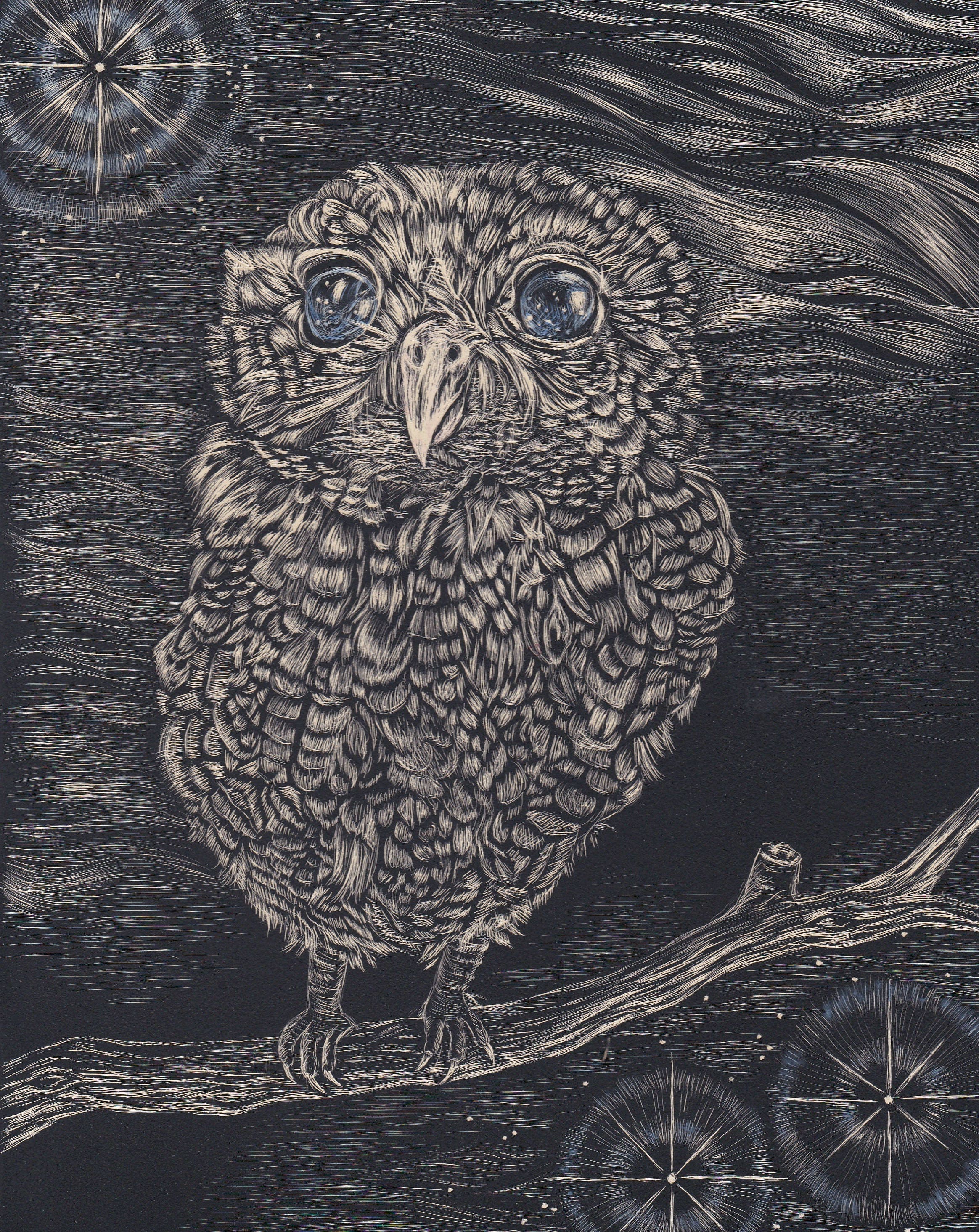 Starry Eyed Owl Scratch Board Art Print Etsy