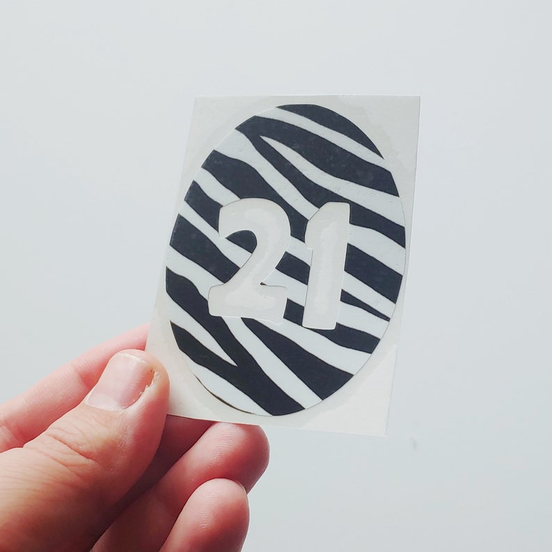 Zebra Print Number Vinyl Classroom Decals Etsy