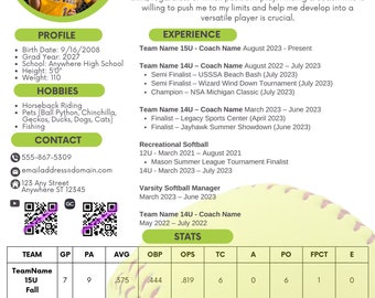 Player Profile Resume Sheet TEMPLATE