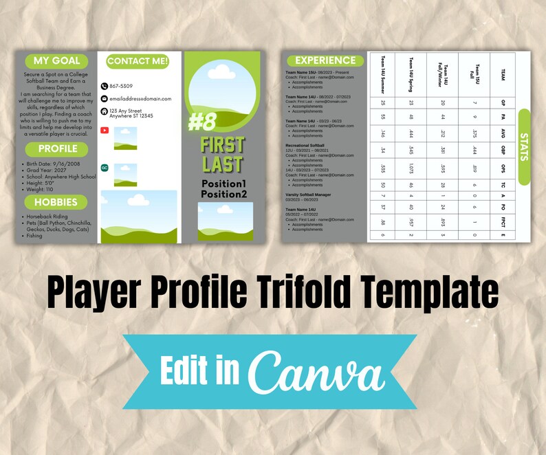 Player Profile Resume Trifold TEMPLATE - Etsy