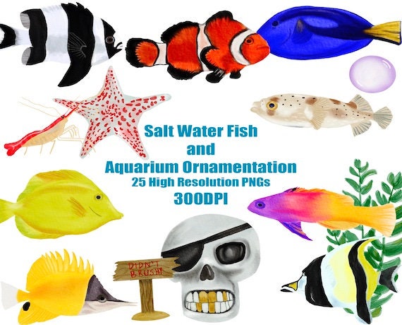 Finding Nemo Inspired Realistic Clipart, Salt Water Fish Clipart