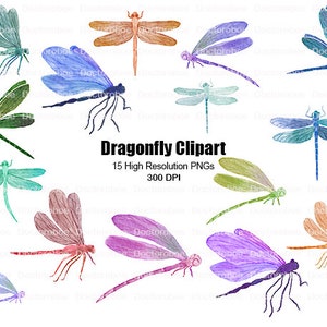 Dragonfly Clipart, Dragonfly Watercolor PNG, Watercolor Dragonfly Clipart, Dragonfly Art, Insect Clipart, Dragonfly Hand drawn Art