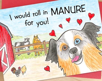 Dog valentine’s day card with Australian Shepherd, funny valentines day card with dog, cartoon valentines day card from dog, illustrated dog