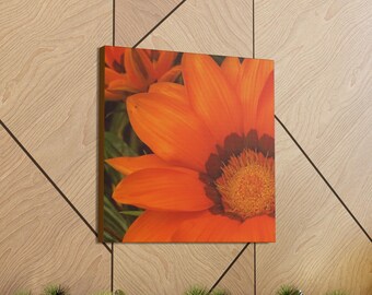 Impression sur toile fleur de Gazania orange, décoration murale florale ensoleillée
