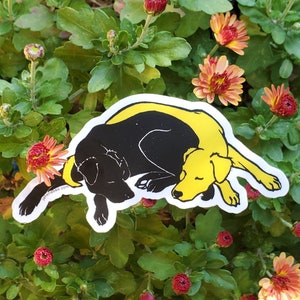 Labrador Sticker
