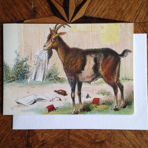 Devouring The News. Fun Vintage Goat Greeting Card Repro