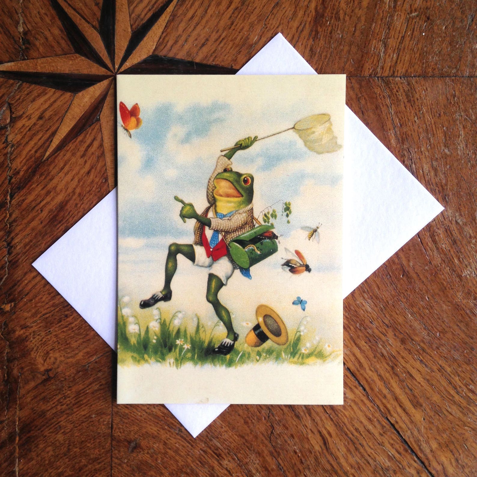 The Collector. Beautiful Vintage Frog Greeting Card Repro. | Etsy