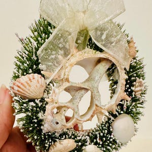 May include: A circular wreath ornament featuring a green, snow-dusted pine base decorated with various natural seashells and a translucent white ribbon bow at the top. The center of the wreath is open, showcasing a large, intricate, hollowed-out seashell.