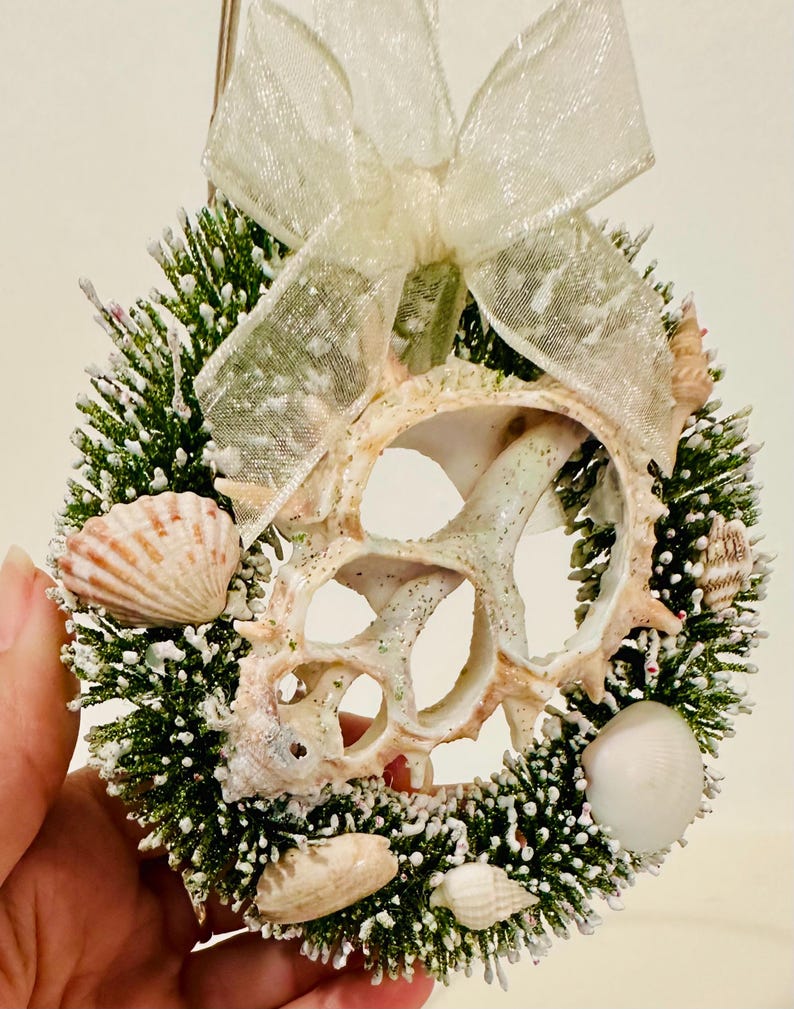 May include: A circular wreath ornament featuring a green, snow-dusted pine base decorated with various natural seashells and a translucent white ribbon bow at the top. The center of the wreath is open, showcasing a large, intricate, hollowed-out seashell.