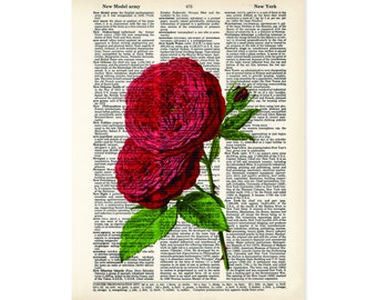 Red Rose Art Vintage Botanical Print - Red Rose Print - Eco Friendly -  Dictionary Page Art