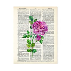 Pink Rose Art Vintage Botanical Print - Eco Friendly -  Dictionary Page Art