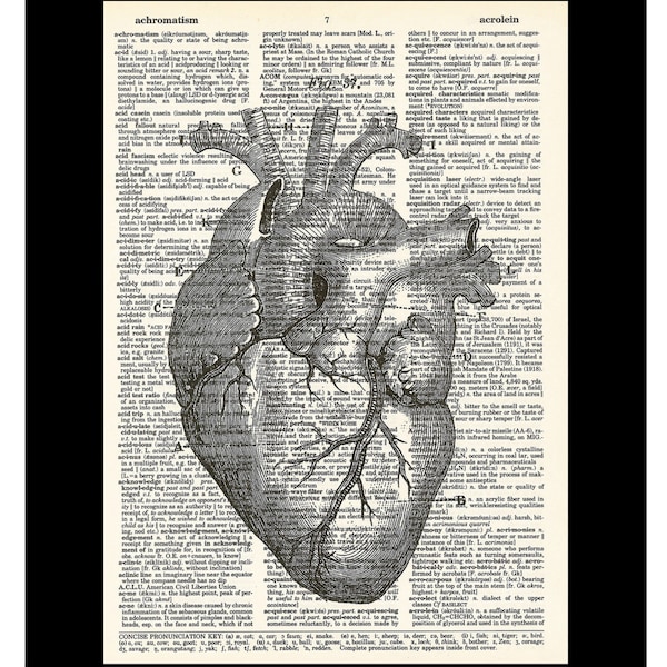 Vintage Heart Illustration - Dictionary Art Print