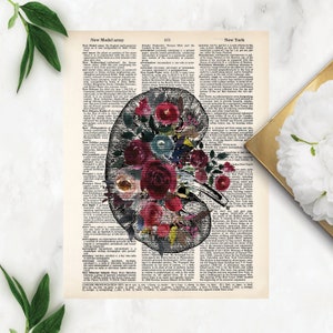 anatomy art prints - kidney transplant gift - kidney with watercolor flowers print - dictionary art - BLUE, red, wine watercolor flowers