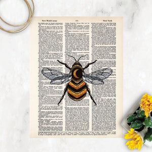 May include: A yellow and black bee with a crescent moon on its back, illustrated on a vintage dictionary page with text about the New Model Army and New York City.