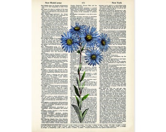 Blue Daisy Art Vintage Botanical Wildflower Daisy  Print - Spring Flowers - Eco Friendly -  Dictionary Page Art