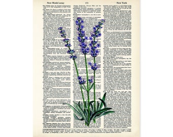 Lavender Art Vintage Botanical Print - Lavender Flowers - Eco Friendly -  Dictionary Page Art