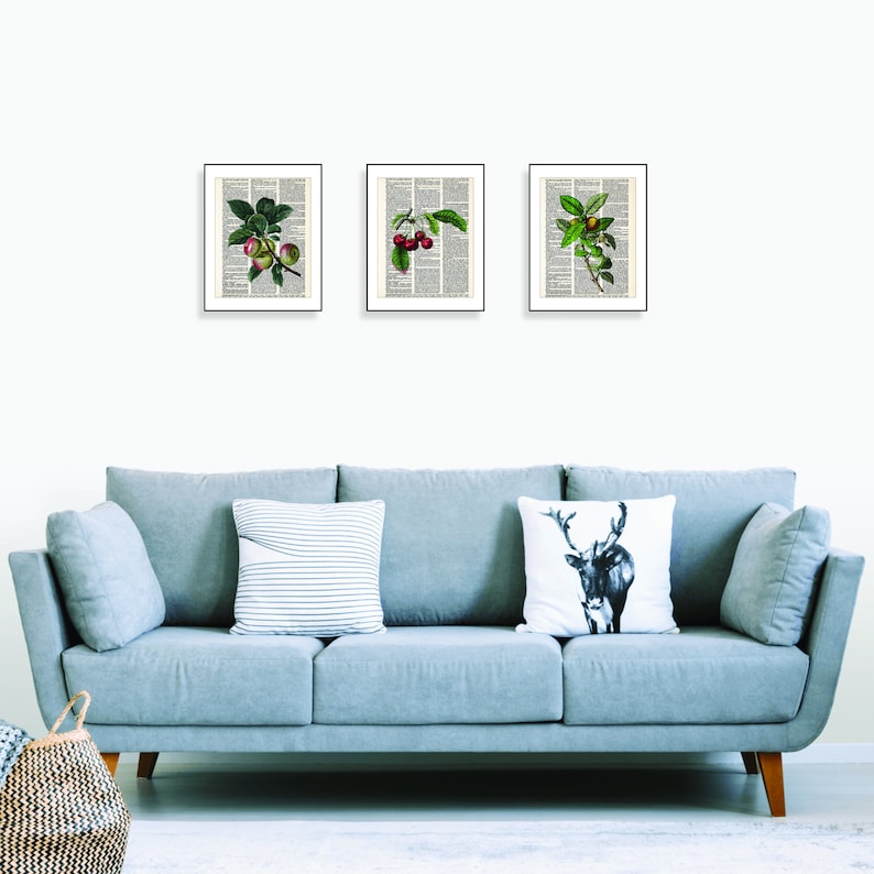 Apple Art Vintage Botanical Apples Print - Eco Friendly - Dictionary ...