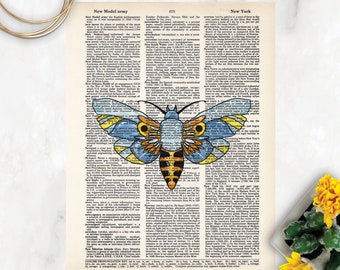 Colorful Moth  Watercolor design Printed on Dictionary Page Dictionary Page Art Moth Print