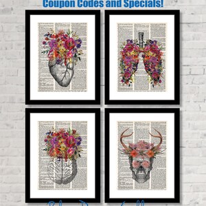 Op de afbeelding: Vier ingelijste prints met anatomische illustraties van een hart, longen, hersenen en schedel. Elke illustratie is bedekt met kleurrijke bloemen. De prints worden weergegeven op een witte bakstenen muur. De tekst "Blue Poppy Gallery" staat onderaan de afbeelding.