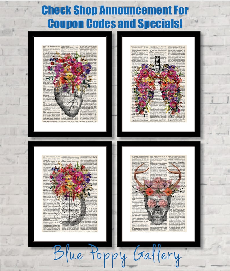 Op de afbeelding: Vier ingelijste prints met anatomische illustraties van een hart, longen, hersenen en schedel. Elke illustratie is bedekt met kleurrijke bloemen. De prints worden weergegeven op een witte bakstenen muur. De tekst "Blue Poppy Gallery" staat onderaan de afbeelding.