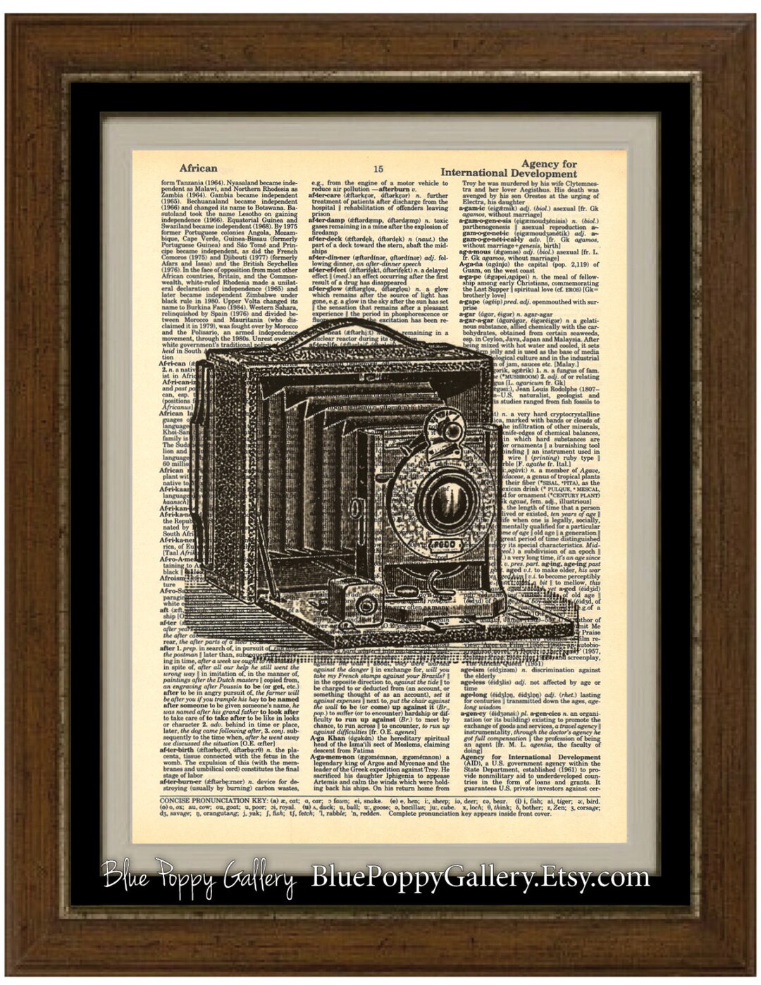 Vintage Camera Etching Dictionary Art Print Poster Etsy