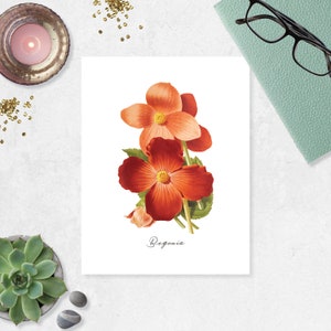 Begonia Art Print botanical art print flower art print garden wall art home decor art Watercolor Vintage Flower Etching Art 8.5x11 inches
