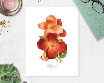 Begonia Art Print botanical art print flower art print garden wall art home decor art Watercolor Vintage Flower Etching Art 8.5x11 inches