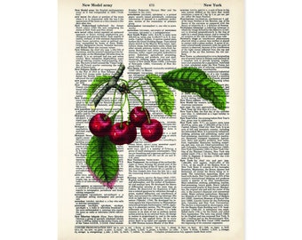 Cherry Art Vintage Botanical Apples Print - Eco Friendly -  Dictionary Page Art