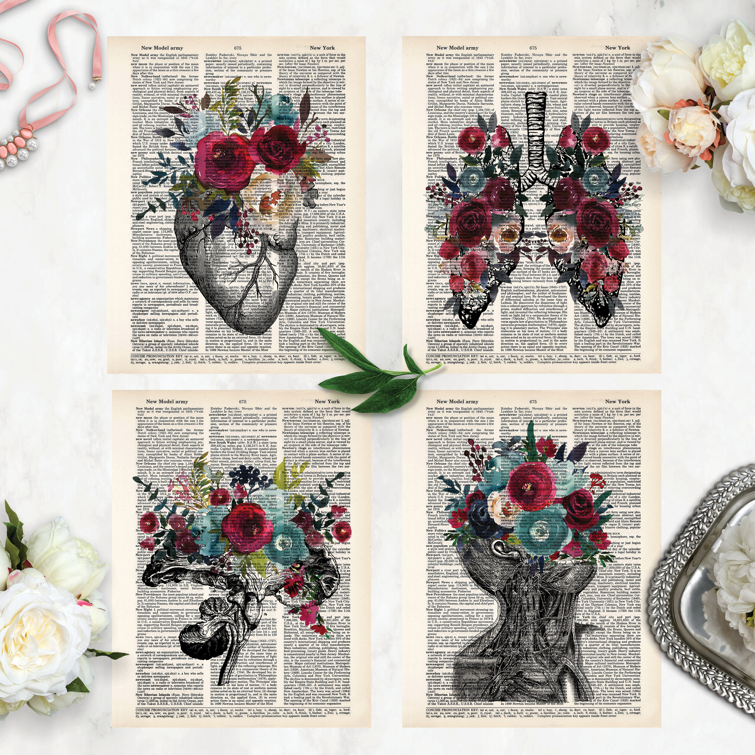 Anatomy Art Print Value Pack - Heart - Lungs - Brain - Eye - Watercolor ...