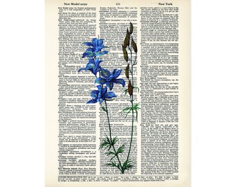 Delphinium Art Vintage Botanical Print - Blue Flowers Art - Delphinium  Print - Eco Friendly -  Dictionary Page Art