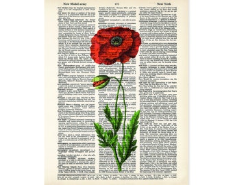 Poppy Art Vintage Botanical Print  Red Poppy Print - Eco Friendly -  Dictionary Page Art