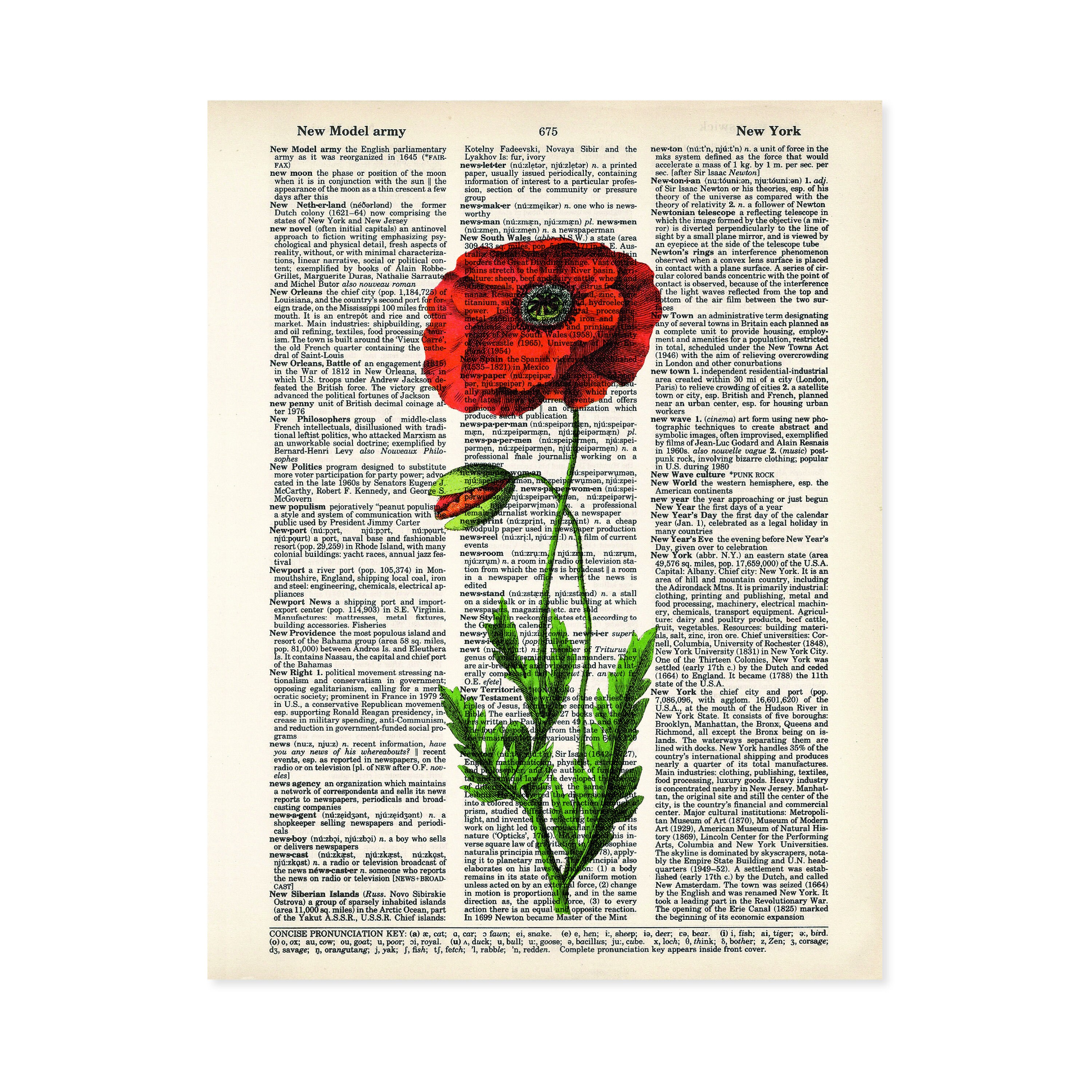 Poppy Art Vintage Botanical Print  Red Poppy Print - Eco Friendly -  Dictionary Page Art
