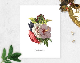 Hibiscus Flower Art Print Tropical flower art print wall art home decor art vintage art Watercolor Vintage Flower Etching Art 8.5x11 inches