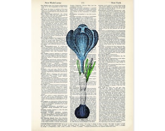 Crocus Art Vintage Botanical Crocus Print - Eco Friendly -  Dictionary Page Art