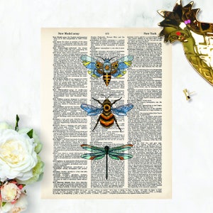 Bee Moth Dragonfly Watercolor art printed on salvaged dictionary page Flying Insects Cool Bug Print