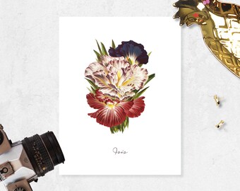 Iris Flower Art Print flower art print wall art home decor art vintage art Watercolor Vintage Flower Etching Art 8.5x11 inches