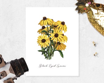 Black Eyed Susan Art Print flower art print garden wall art home decor art vintage art Watercolor Vintage Flower Etching Art 8.5x11 inches