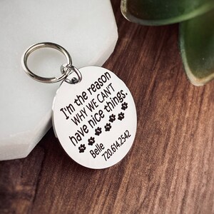 Custom Pet Tag, Engraved Stainless Steel, Cat Collar Tag, Dog Collar Tag, I’m the reason we can’t have nice things