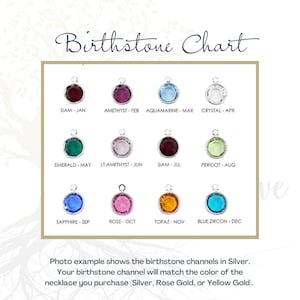Puede incluir: Tabla de piedras de nacimiento con piedras preciosas de colores que representan cada mes del a&ntilde;o. La tabla muestra los colores de las piedras de nacimiento de enero a diciembre. El texto "Birthstone Chart" est&aacute; en la parte superior de la tabla.