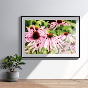 Pink Flower | Fine Art Photography | Digital Download | Photography Print | Botanical Still Life | Minimalist Wall Art | Floral Wall Art