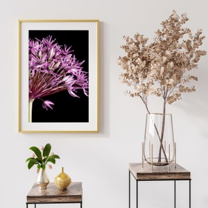 Fine Art Photography Purple Allium | Digital Download | Botanical Still Life | Photography Print | Minimalist Wall Art | Floral Wall Art