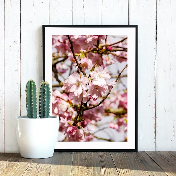 Pink Cherry Blossom Print | Sakura Wall Art | Spring Fine Art Photography | Digital Download | | Minimalist Wall Art | Scotland Photography