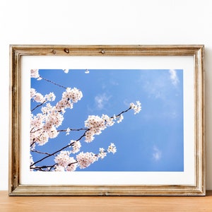 White Cherry Blossom | Spring Print | Digital Download | Photography Print | Botanical Still Life | Minimalist Wall Art | Floral Wall Art