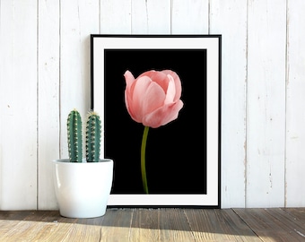 Pink Tulip Photography Print: Minimalist Floral Wall Art (Digital Download)