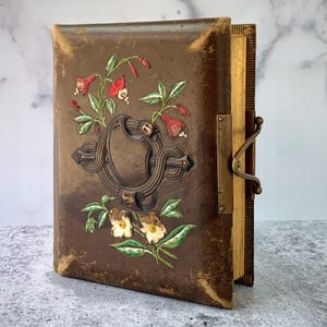 Victorian Photo Album Filled with Carte de Visites Photographs from a Michigan Family, Old Photography, Antique CDV Album