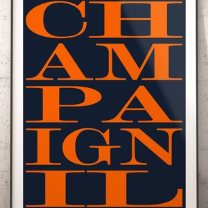 Illinois Fighting Illini Banner and Scroll Sign