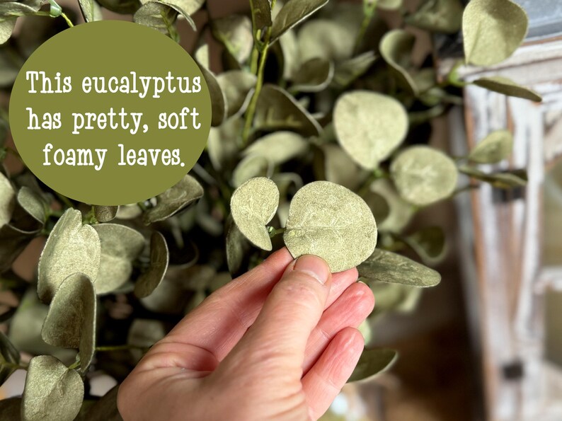This shows a close up image of me holding a green eucalyptus leaf.