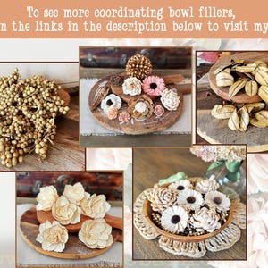 This shows a collage of bowl fillers I sell at my shop, Boutique Barn. It includes natural dried berries and wood flowers.
